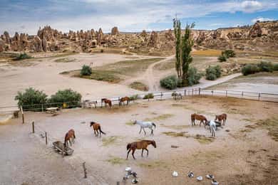 Från Istanbul: Cappadocia, Efesos och Pamukkale privat tur från Istanbul