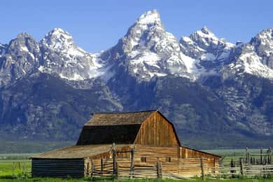 From Jackson: Half-Day Grand Teton National Park Tour