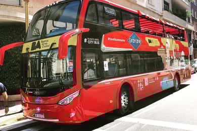 Buenos Aires: 48-Hour Hop-on Hop-off Bus and River Cruise
