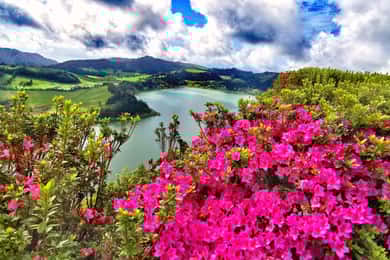 São Miguel: Ganztagestour durch Furnas und Nordeste mit Mittagessen