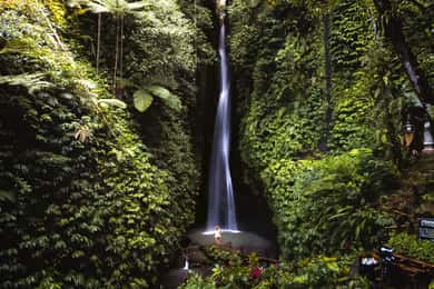 Bali: Cachoeira Leke-Leke, Floresta dos Macacos e Passeio de Balanço na Selva