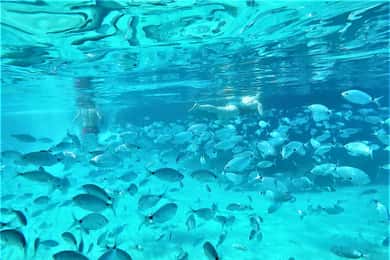 Ibiza: Schnorcheln und SUP-Paddeln, Strand- und Höhlentour