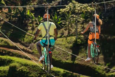 Puerto Rico: Toro Verde Adventure Park Zipline Bike Billet