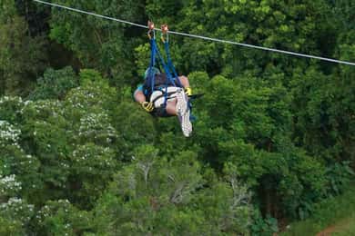 Puerto Rico: Toro Verde Adventure Park - Monster Zipline