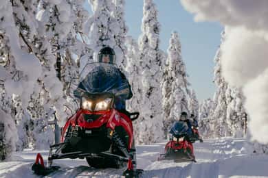 Rovaniemi: Äventyrstur med snöskoter endast för vuxna