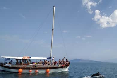 Preveza: Dolphin Watching Cruise with Lunch and Drinks