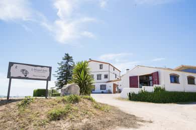 Vilafranca del Penedès: Vingårdsbesøg med smagninger