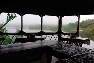 From Manaus: 2-Day Amazon Jungle and Ipanema Lake Excursion