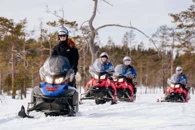 Rovaniemi: Snöskotersafari i vildmarken