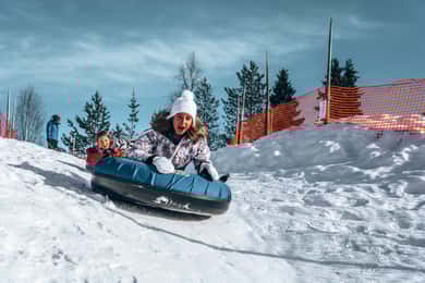Rovaniemi: Um dia inteiro de neve e actividades divertidas