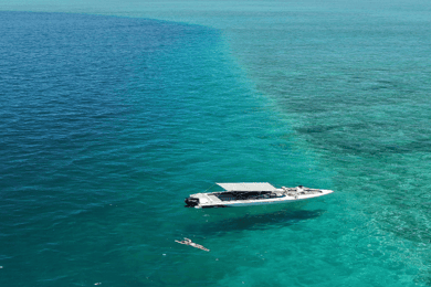 5 Islands Speedboat med snorkling havssköldpadda + lunch och dryck