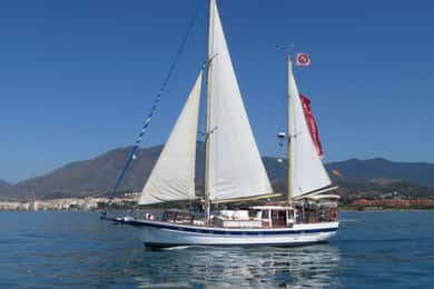 Estepona: Delfinskådning Segelbåtskryssning med dryck