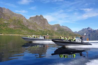 Da Svolvaer: Crociera in gommone con la fauna selvatica del Trollfjorden