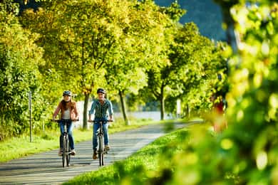 Cochem: Fahrrad- und Bootstour mit Picknick und Weinverkostung