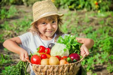 Amalfi: lezione di cucina e visita dell'agriturismo ai pasti