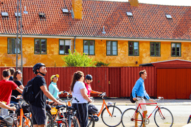 Copenhagen: 3 Hour Private Bike Tour