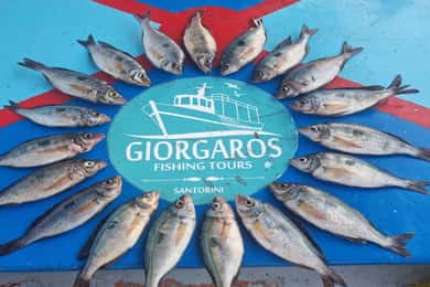 Santorini: Traditional Fishing Trip and Fresh Fish Lunch
