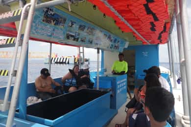 Cozumel: Private VIP Glass Bottom-Boat and Snorkeling Tour