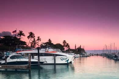 South Maui: Sunset Cruise with 4-Course Dinner and Drinks