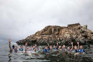 Callao: Schwimmen mit Seelöwen Palomino Islands Bootstour