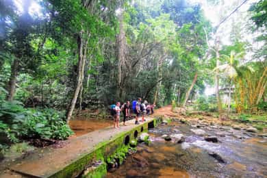 Ilha Grande: Caminhada particular com floresta, praias e cachoeira