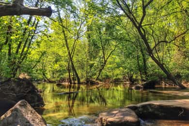 Richmond: Guided Hike in James River Park