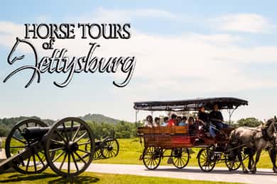 Gettysburg: Horse-Drawn Carriage Battlefield Tour