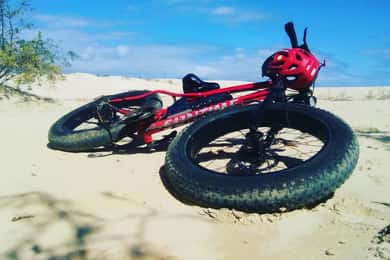 Fuerteventura: Explore the Area with a Bike Rental