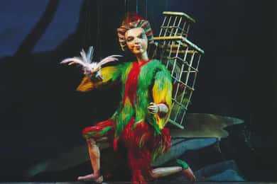 Salzburg: The Magic Flute at Marionette Theater Ticket