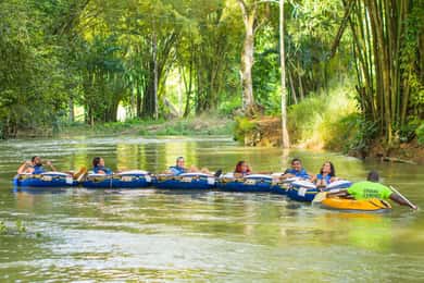 Montego Bay e Falmouth: Aventura de tubagem no rio Good Hope