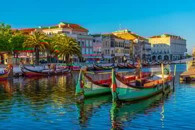 Depuis Porto : Excursion privée guidée d'une journée à Aveiro