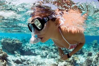 Santa Maria: Passeio guiado de mergulho com snorkel em naufrágios e recifes