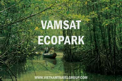 Can Gio: Discovery Vam Sat EcoPark - Can Gio Island Day Trip