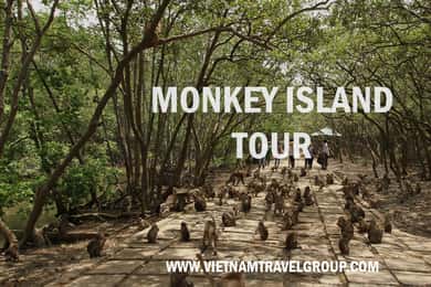 From Ho Chi Minh City: Can Gio Mangrove Guided Forest Tour