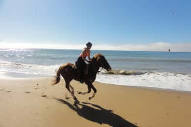 Depuis Essaouira : excursion à cheval avec nuit en camp berbère