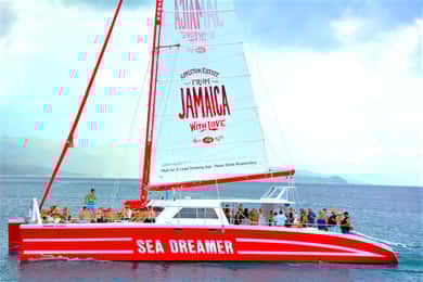 Cruzeiro de catamarã e excursão de mergulho em Montego Bay