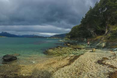 Ushuaia: Tour del Parco Nazionale della Terra del Fuoco con pranzo