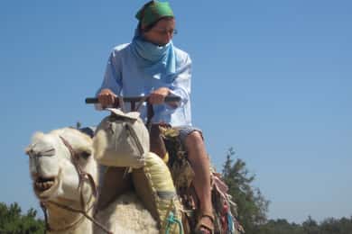 Essaouira: visite guidée à dos de dromadaire