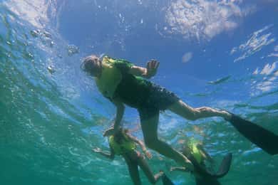 Oranjestad: Mangel Halto and Baby Beach Snorkeling Tour