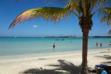 De Montego Bay: Transfer privado do aeroporto MBJ para Negril