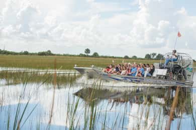 Everglades: Sawgrass Park Airboat Adventure Package