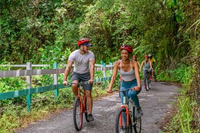 Montego Bay: passeio de bicicleta Blue Mountains com brunch e almoço