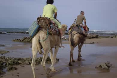 Au départ d'Essaouira : Excursion à dos de chameau avec nuit sous la tente