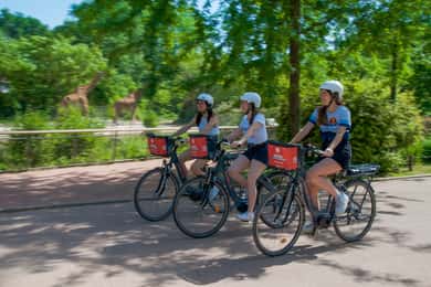 Lyon's must-sees by electric bike