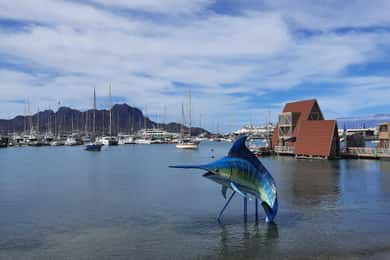 São Vicente: Markets, Beaches and Natural Park Tour