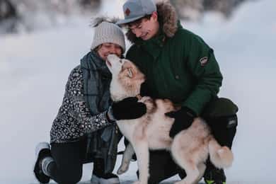 Levi: Selvkørende 2 KM Husky-slædeoplevelse