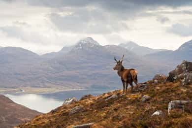 Inverness - en dagstur Applecross, Loch Carron & Wild Highlands dagstur