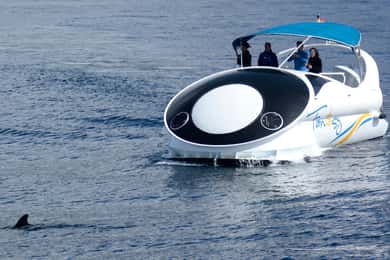 Von Tazacorte aus: Schnelle Yacht Tour auf La Palma