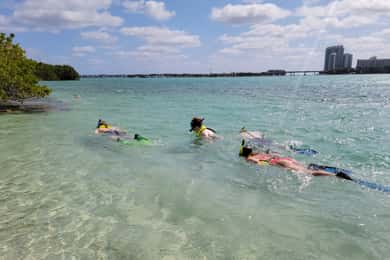 Miami: Esnórquel en la isla para principiantes con SUP o kayak