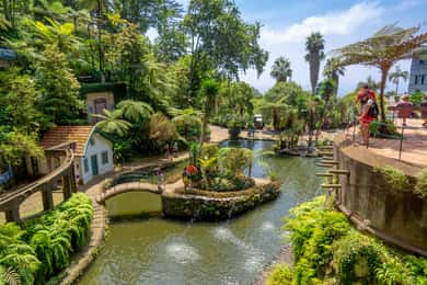 Funchal: Passeio de Tuk Tuk pelos Jardins Tropicais do Monte Palace